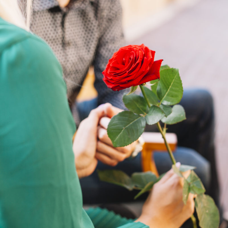 couple-holding-each-other-s-hand-holding-red-beautiful-rose